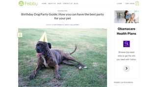 Birthday Dog Party Guide: How you can have the best party for your ...