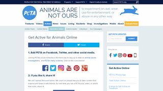 Get Active for Animals Online | PETA