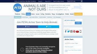Join PETA's Action Team to Help Animals | PETA