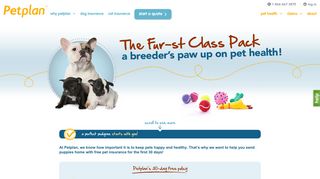 Pet Insurance for Breeders | Dog Breeders Insurance | Petplan