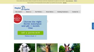 Petplan Equine: Horse, Veteran and Rider Insurance