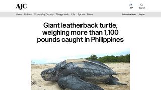 Giant leatherback turtle, weighing more than 1,100 pounds caught in Ph