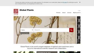 Global Plants on JSTOR