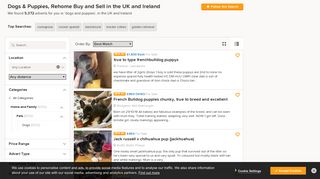 Dogs & Puppies, Rehome Buy and Sell | Preloved