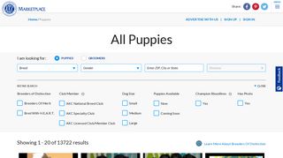 AKC Puppies For Sale - AKC PuppyFinder - AKC Marketplace