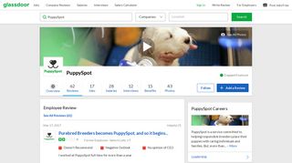 PuppySpot - Purebred Breeders becomes PuppySpot, and so it begins ...