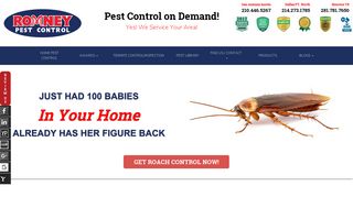 Romney Pest Control