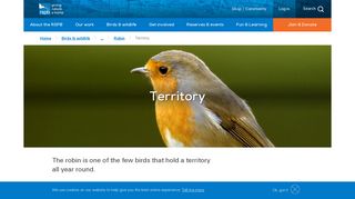 Robin Territory - The RSPB