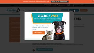 Short Term Service Opportunities for Volunteers | San Diego Humane ...