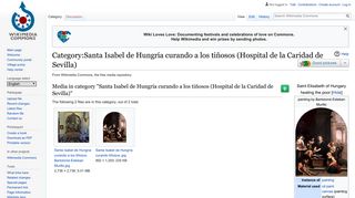 Category:Santa Isabel de Hungría curando a los tiñosos (Hospital de ...