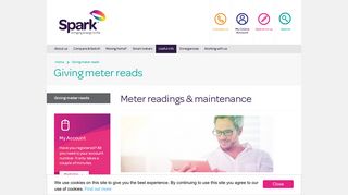 Meter Readings - Spark™ - Bringing Energy to Life