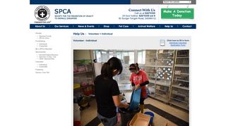 SPCA Singapore : Volunteer - Individual