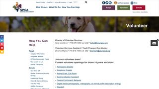 Volunteer - Dog, Cat, Pet Adoption, Animal Shelter in Buffalo - SPCA