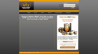 Spicy Auction Templates | eBay Auction Templates