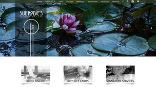 Sue Kolve's Salon and Day Spa – Just another StyleNet WordPress ...