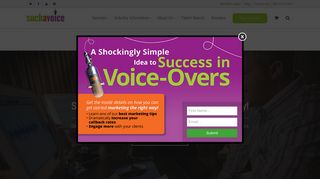 Such A Voice: Voice Over Training Company & Demo Production