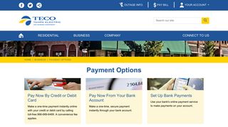 Payment Options - Tampa Electric
