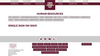 Single Sign On (SSO) - Texas A&M International University