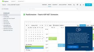 ASP.NET scheduler examples | RadScheduler control demo