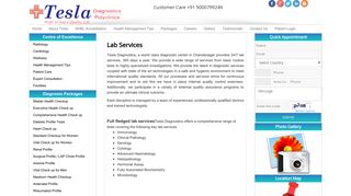 Lab Services - Tesla Diagnostics