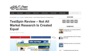 TestSpin Review - Not All Market Research Is Created Equal