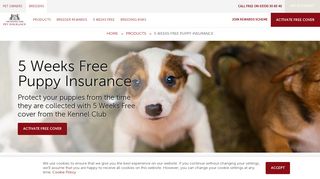 5 Weeks Free Puppy Insurance | Kennel Club
