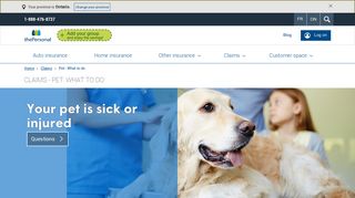 Pet insurance claim? - The Personal