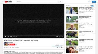 How to raise the perfect Dog - The Online Dog Trainer - YouTube