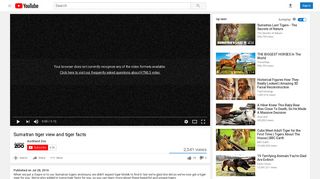 Sumatran tiger view and tiger facts - YouTube