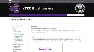 Setting up Eagle Online