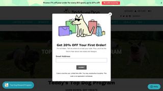 Top Dog Rewards Program – Teddy the Dog