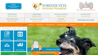 Forever Vets Animal Hospital: Animal Hospitals Florida