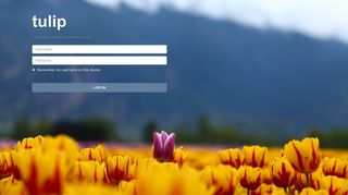 Tulip Login