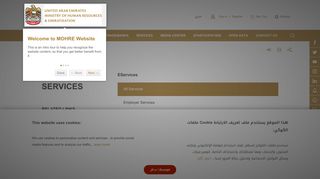 eServices | Employer Services | Services | Ministry of Human ...