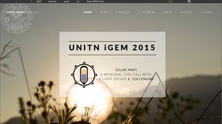 Team:UNITN-Trento - 2015.igem.org