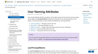 User Naming Attributes - Windows applications | Microsoft Docs