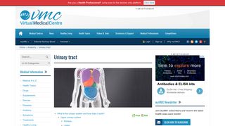 Urinary tract anatomy (urinary system) information | myVMC