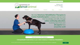 Veterinary rehabilitation | Continuing Education | Live Webinars