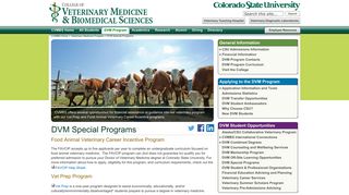 DVM Special Programs - cvmbs - Colorado State University