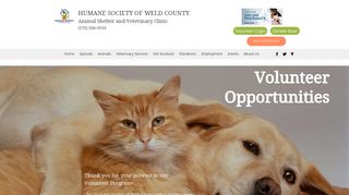 Volunteer | Humane Society of Weld County