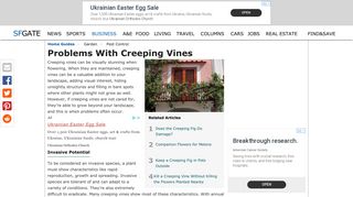 Problems With Creeping Vines | Home Guides | SF Gate