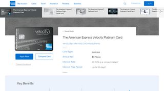 The Velocity Platinum Credit Card | AMEX Australia - American Express