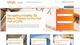 Voya Investment Management: Financial Advisors