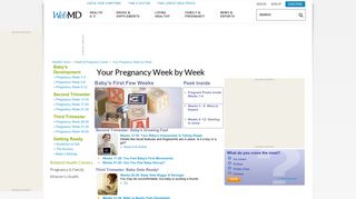 Your Pregnancy Week by Week - WebMD