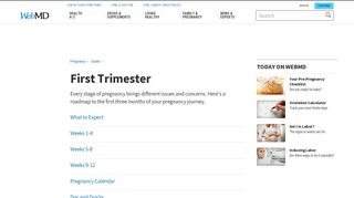 Health and Pregnancy: First Trimester - WebMD