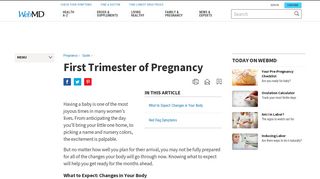 First Trimester of Pregnancy: What to Expect, Baby ... - WebMD
