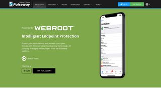 Webroot Endpoint and DNS Protection | Pulseway