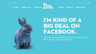Connect with the Blue Bunny team - Blue Bunny