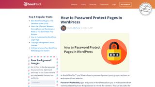 How to Password Protect Pages in WordPress - SeedProd