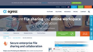 Secure File Sharing Service & Online Workspace Platform for Business